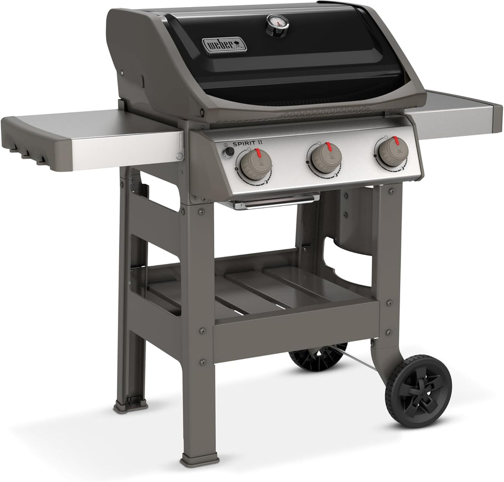 Barbecue à gaz Spirit E-310 classic